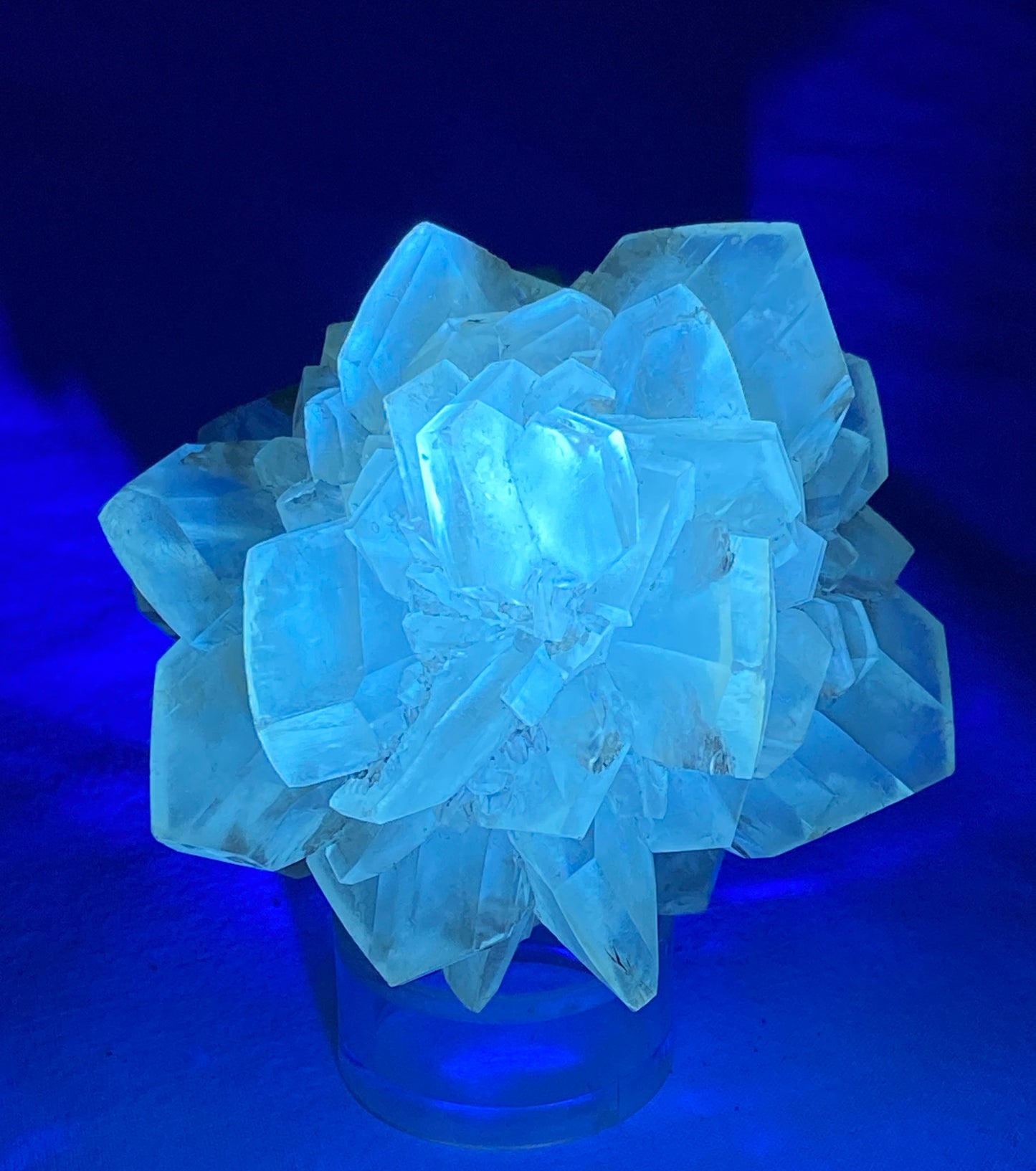 Gypsum (variety Selenite), Red River Floodway, Winnipeg, Manitoba