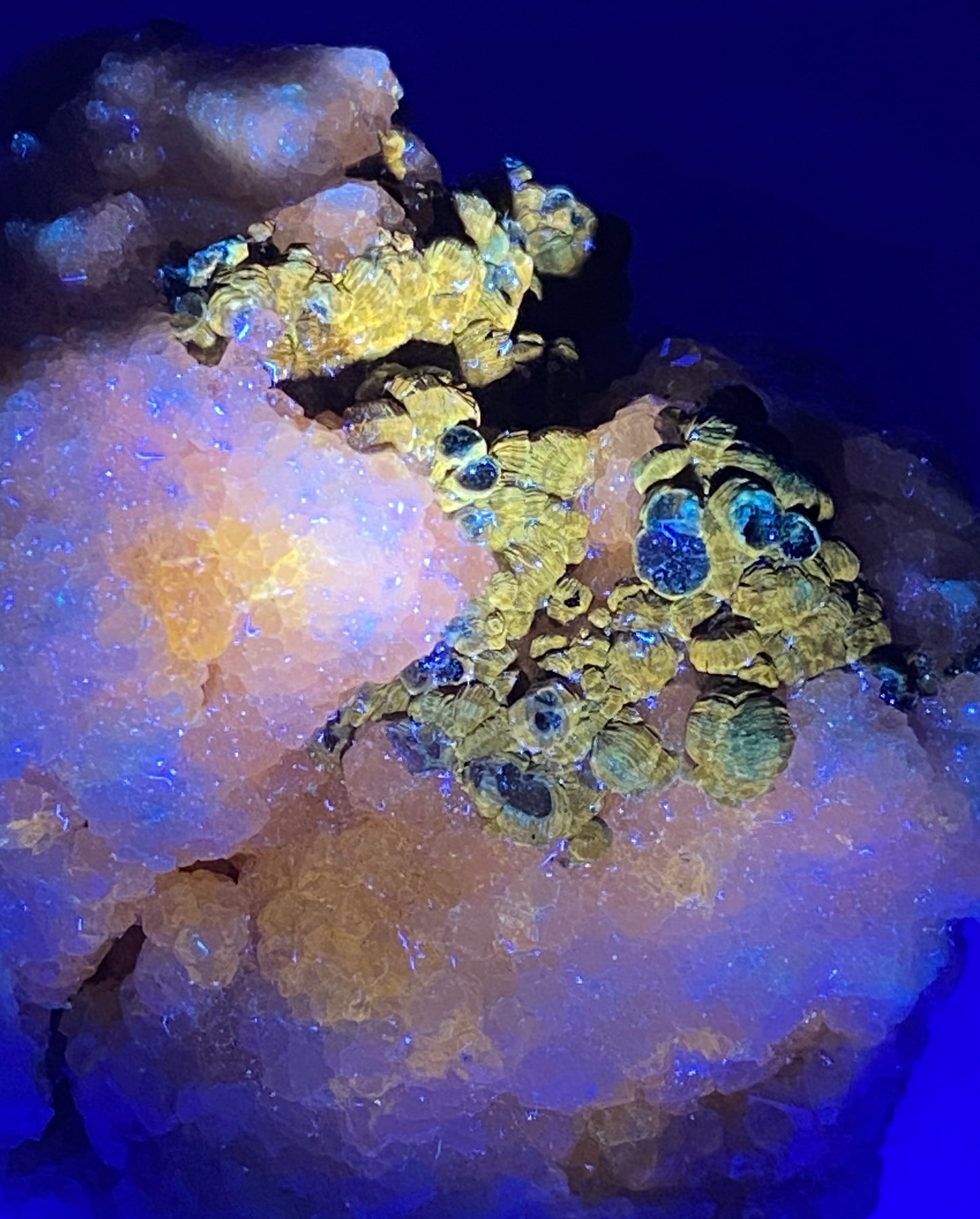 Clinoclore on Grossular Garnet, Jeffrey Mine, Val des Sources, Quebec, Canada