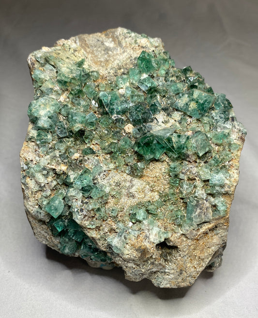 Fluorite (daylight fluorescence), Rogerley Mine, Weardale, County Durham, England