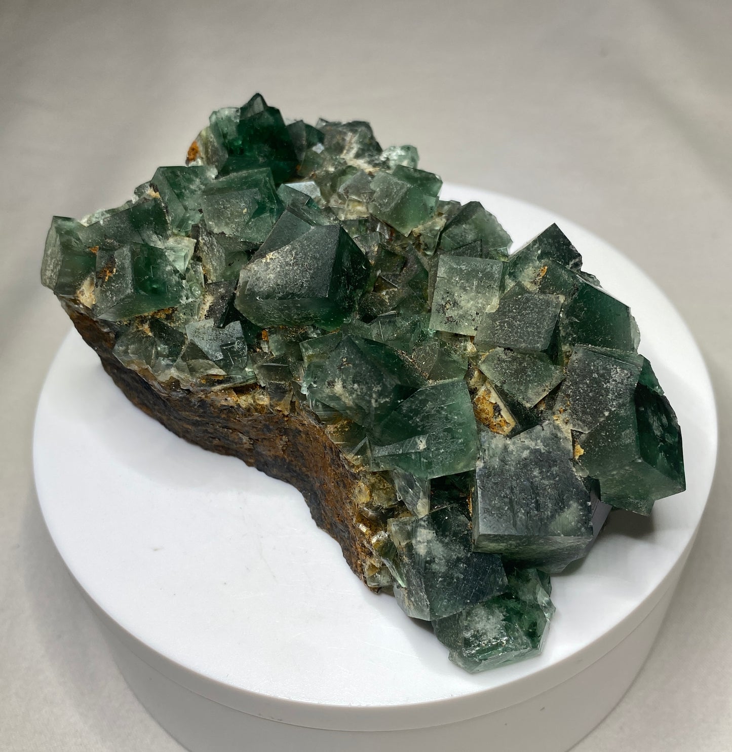 Fluorite (daylight fluorescence), 50 Year Pocket, Rogerley Mine, Weardale, County Durham, England