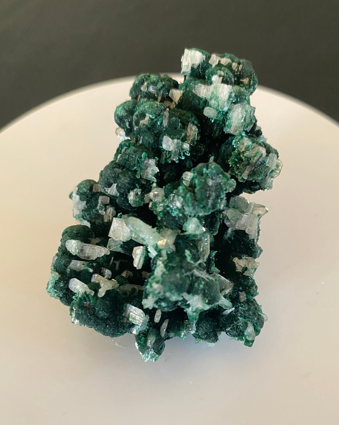 Cerussite on Malachite, Palabanda Quarries, Mfouati, Republic of the Congo