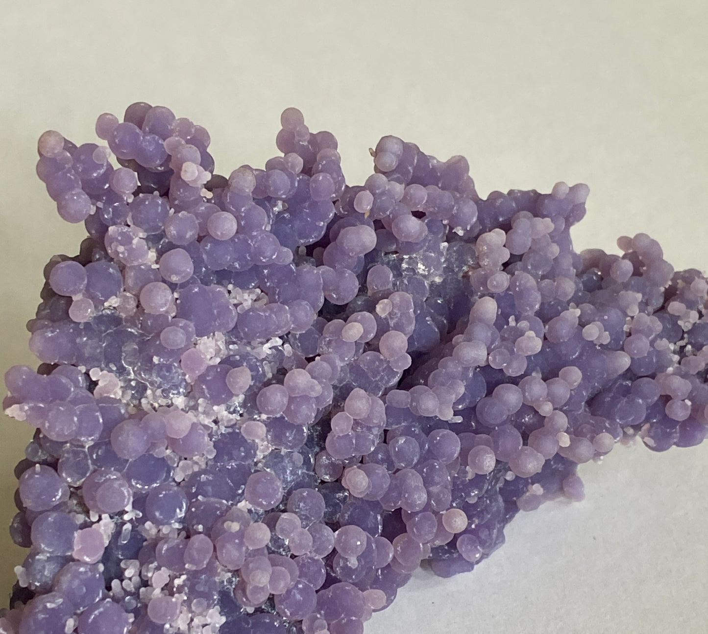 Grape Amethyst, Mamuju area, Sulawesi Barat Province, Sulawesi, Indonesia