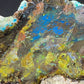 Petrified "Colla" Wood, Zile, Turkey