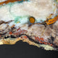 Petrified "Colla" Wood, Zile, Turkey