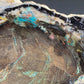 Petrified "Colla" Wood, Zile, Turkey