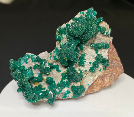 Dioptase with Mimetite, N'tola Mine, Mindouli District, Republic of the Congo (Brazzaville)