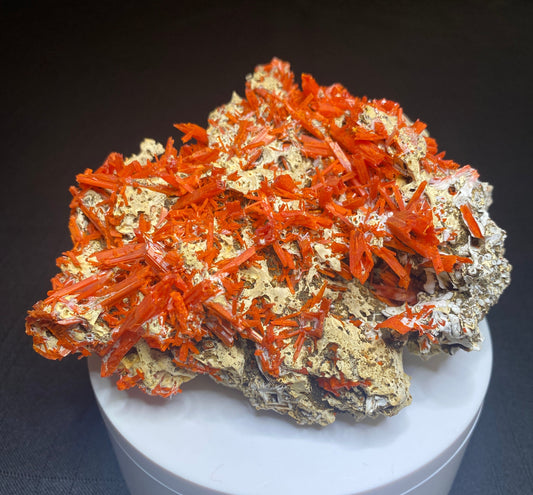 Crocoite, Adelaide Mine, Dundas, Tasmania, Australia