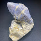 Corundum (variety Sapphire) - Ratnapura, Sri Lanka