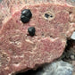 Rhodonite (variety Fowlerite) & Franklinite -  Franklin, New Jersey