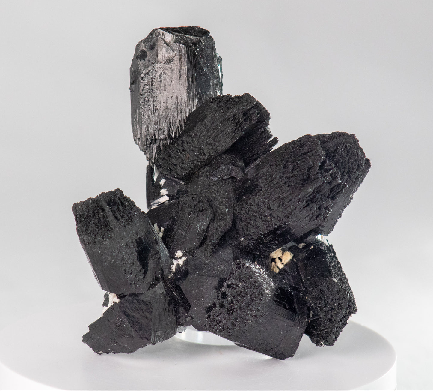 Tourmaline (variety Schorl), Erongo, Namibia