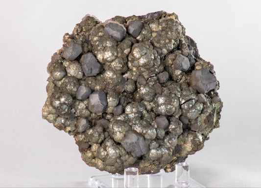 Galena on Marcasite, Buick Mine (Amax Mine; Moloc Mine), Bixby, Missouri