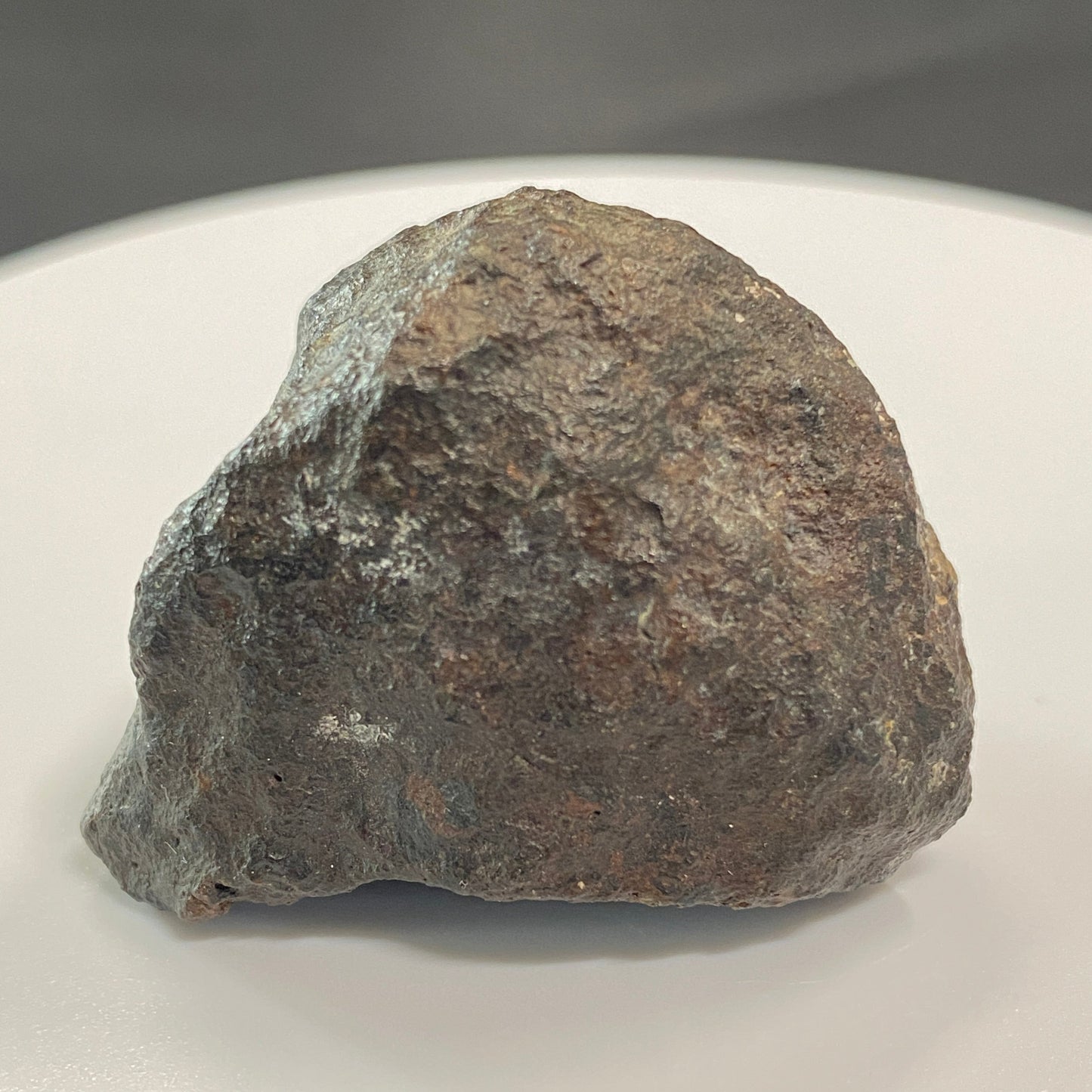 Chondrite Meteorite (JaH 091), Oman