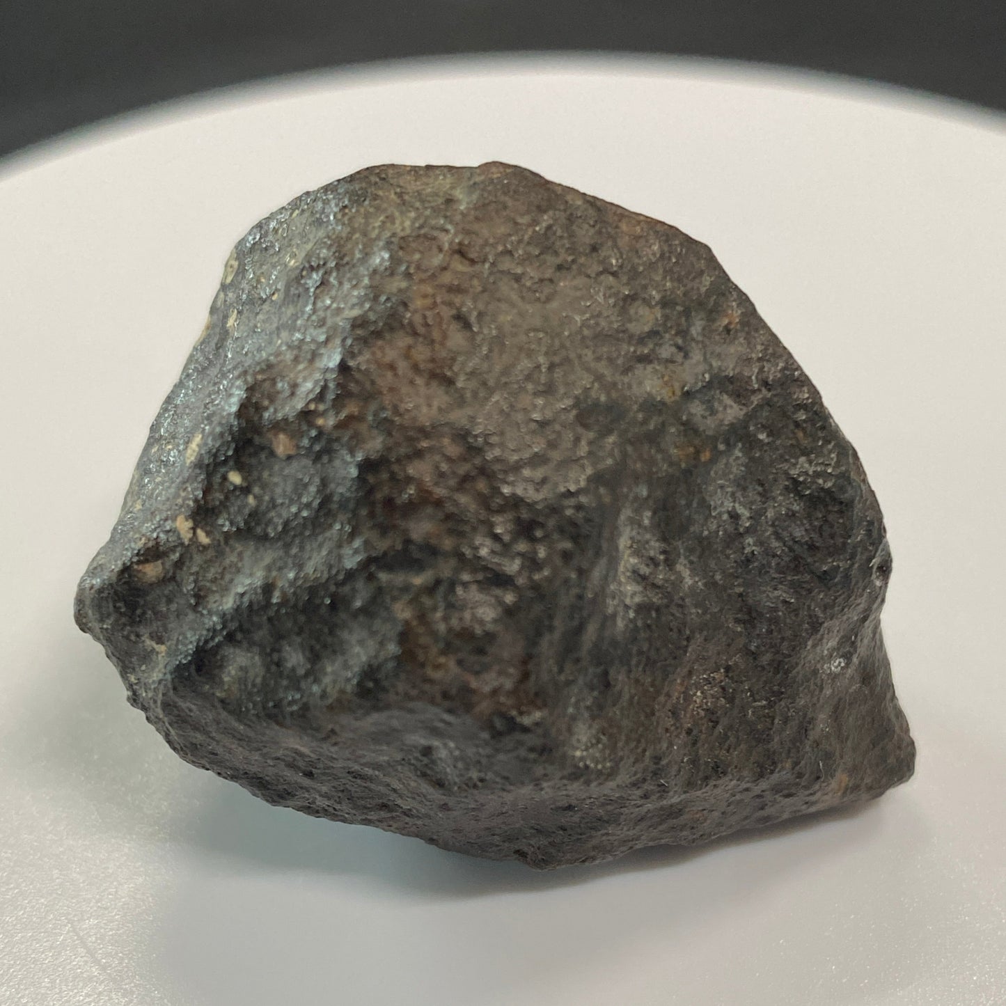 Chondrite Meteorite (JaH 091), Oman