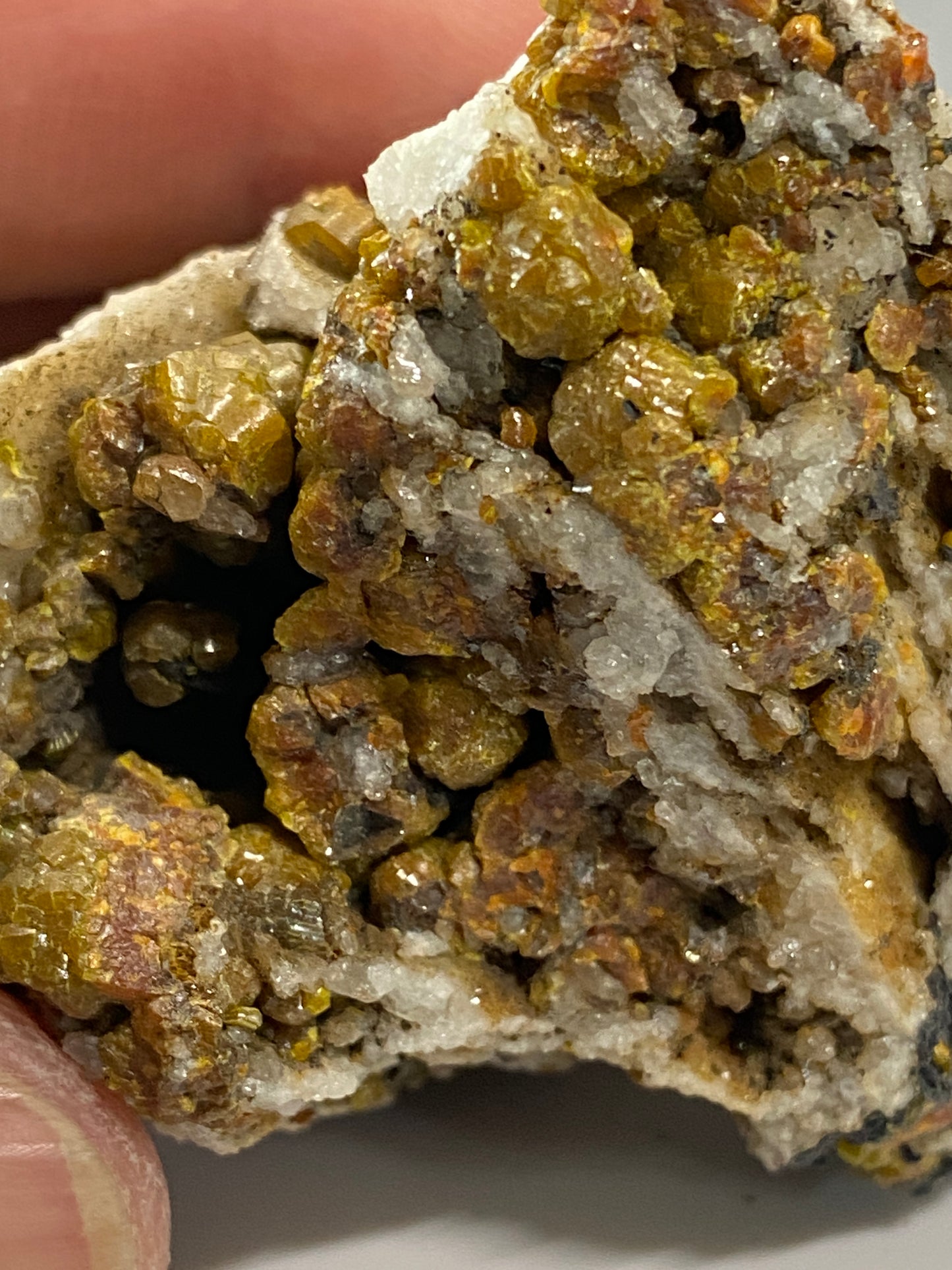 Campylite, Dry Gill Mine, Caldbeck Fell, Cumbria, United Kingdom