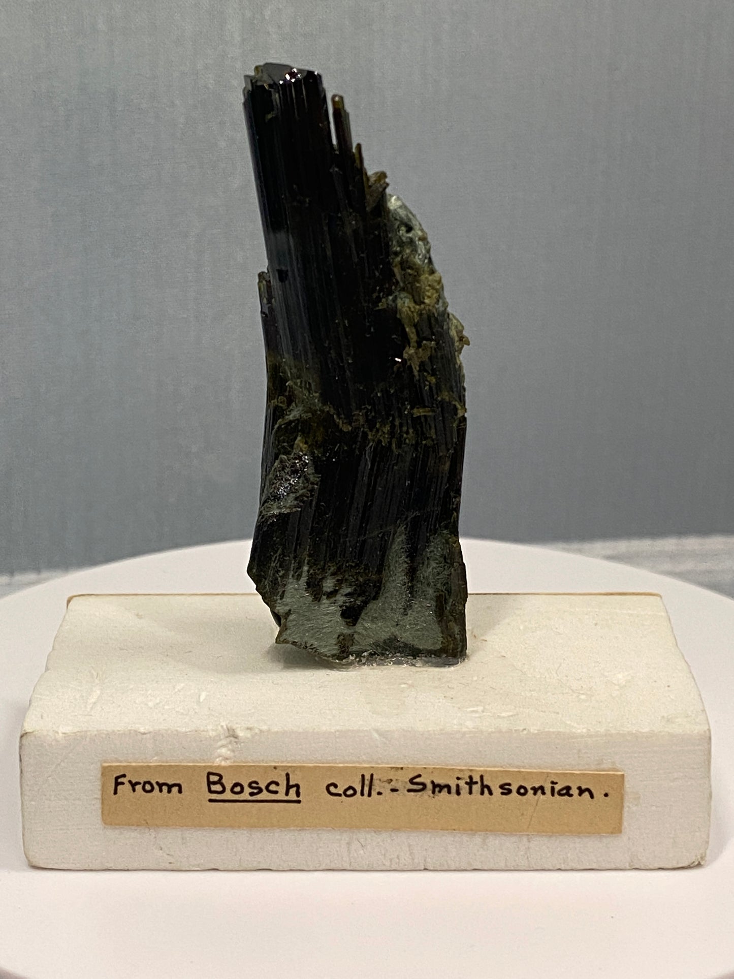 Epidote (bent crystal), Knappenwand, Untersalsbachtal, near Salsburg, Austria (ex-Smithsonian) - Collected 1866