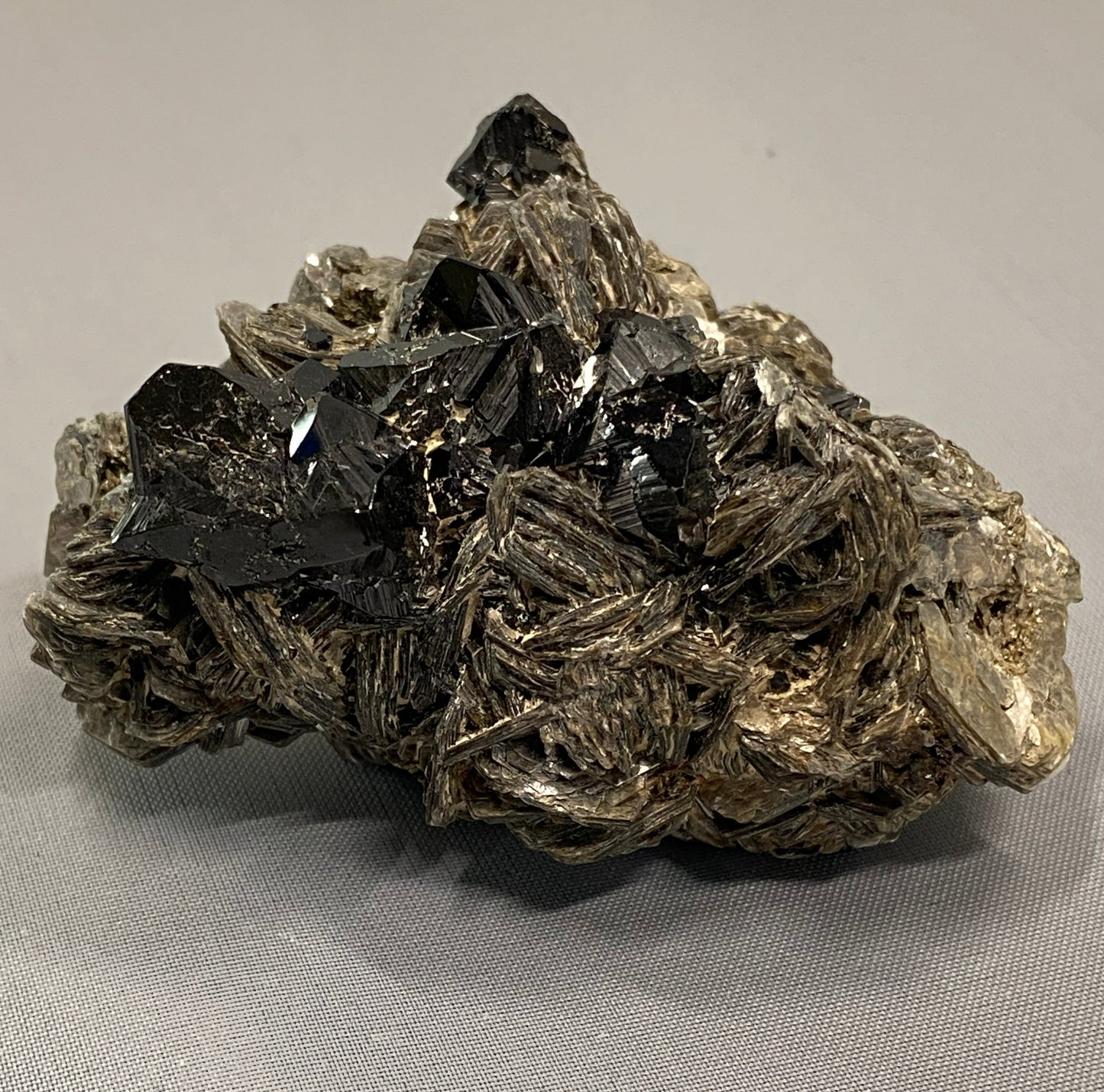 Cassiterite in Muscovite, Minas Gerais, Brazil