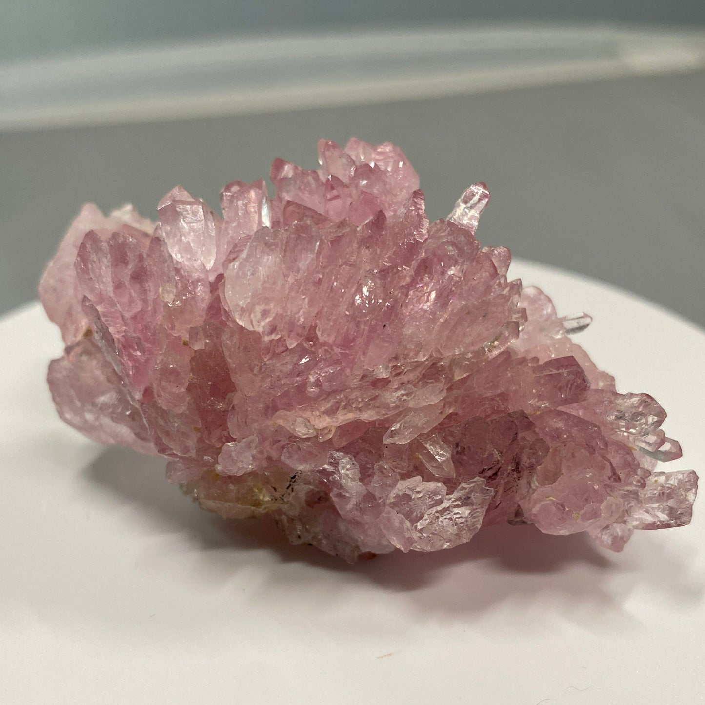 Rose Quartz crystals, Pitorra Mine, Minas Gerais, Brazil