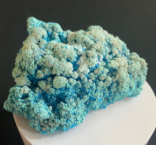 Chrysocolla, L'Etoile du Congo Mine (Star of Congo Mine, Kalukuluku Mine), Haut-Katanga, Democratic Republic of Congo