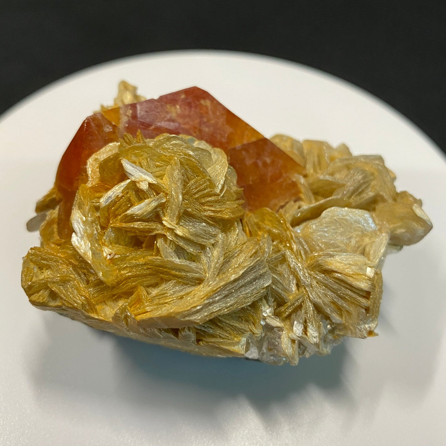 Scheelite on Muscovite with Fluorite, Zinyang, Sichuan Province, China