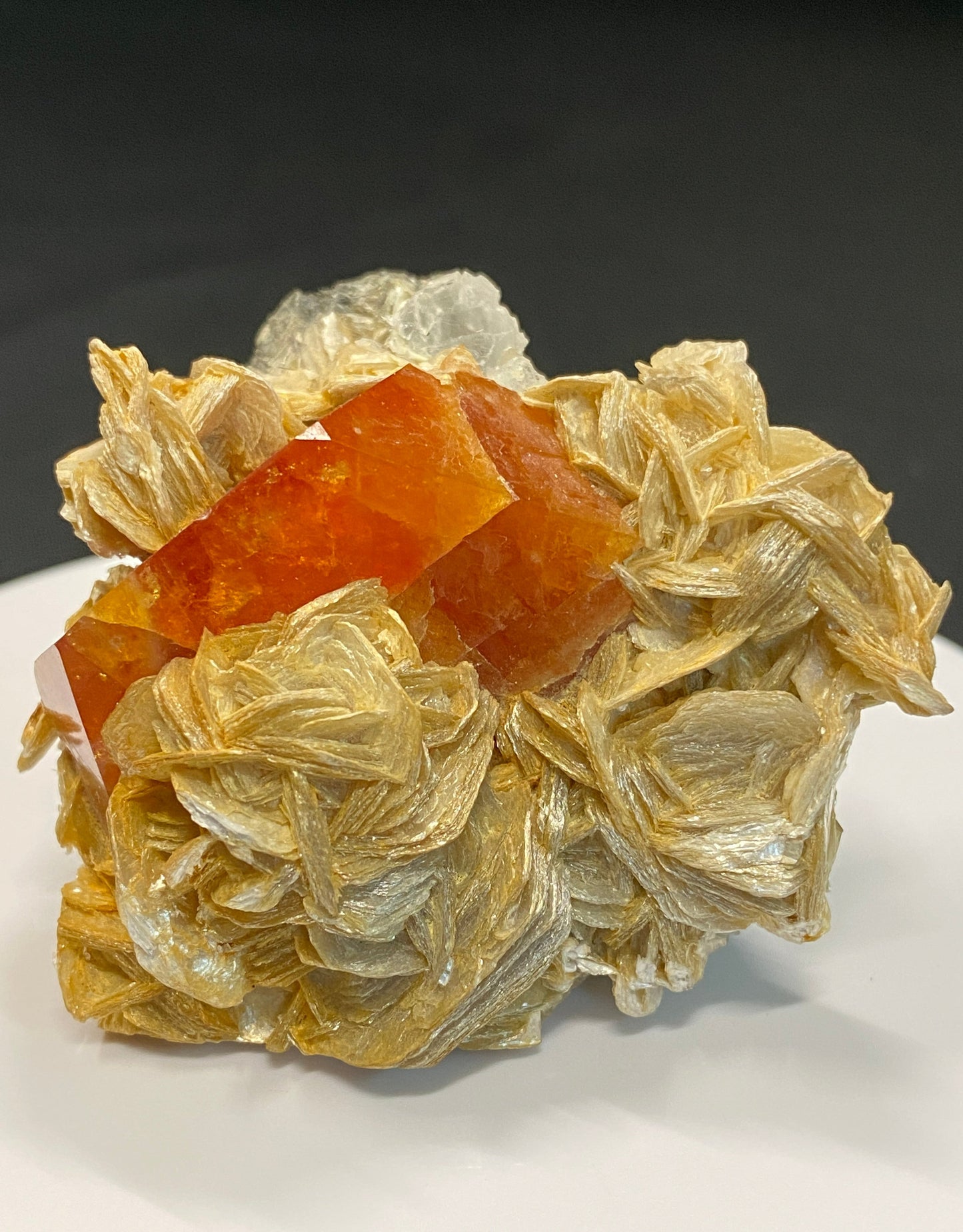 Scheelite on Muscovite with Fluorite, Zinyang, Sichuan Province, China