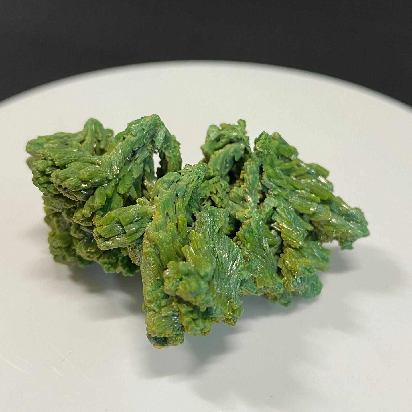 Pyromorphite, Les Farges, Correze, France