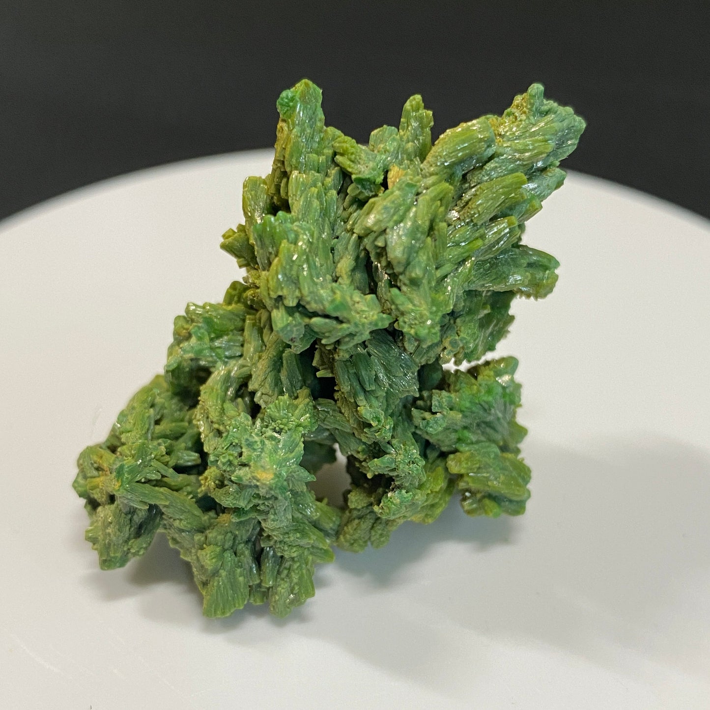 Pyromorphite, Les Farges, Correze, France