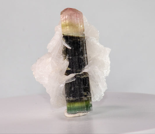 Tourmaline in Albite, Stak Nala, Haramosh Mountains, Gilgit-Baltistan, Pakistan