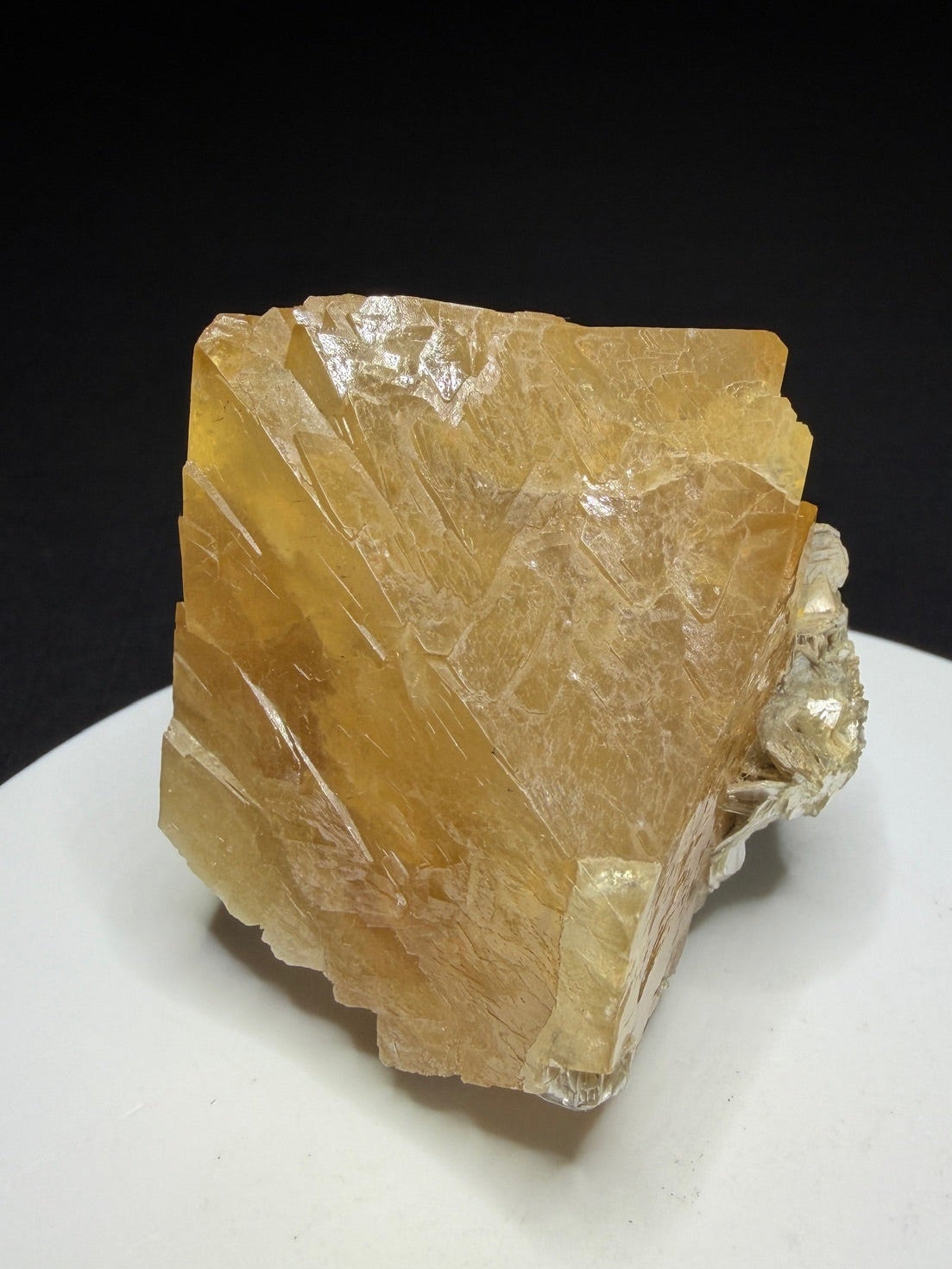 Golden scheelite crystal from Mt. Xuebaoding, Pingwu County, Sichuan, China