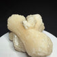 Large cream-white bladed stilbite crystal cluster from Pandulane, India