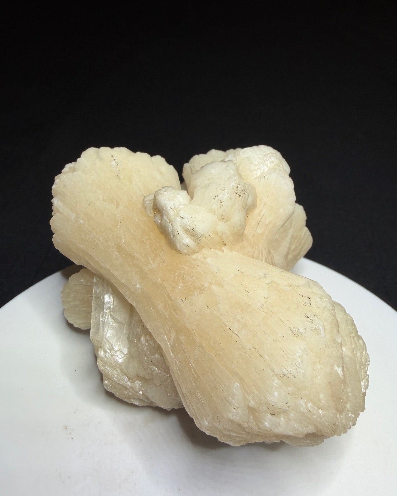 Large cream-white bladed stilbite crystal cluster from Pandulane, India