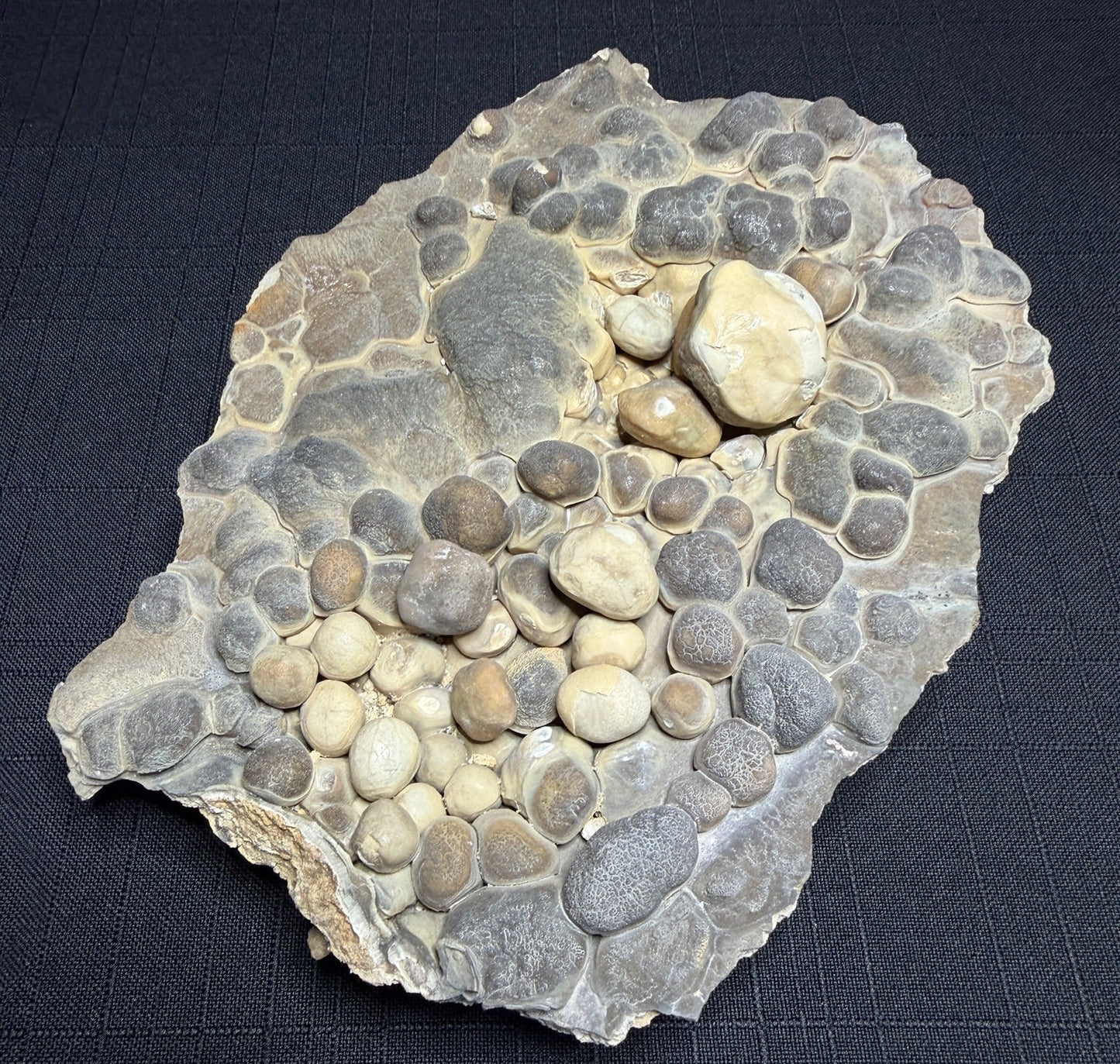 Grey and cream Bird’s Nest aragonite with rounded cave pearls from the Erzberg Mine in Austria