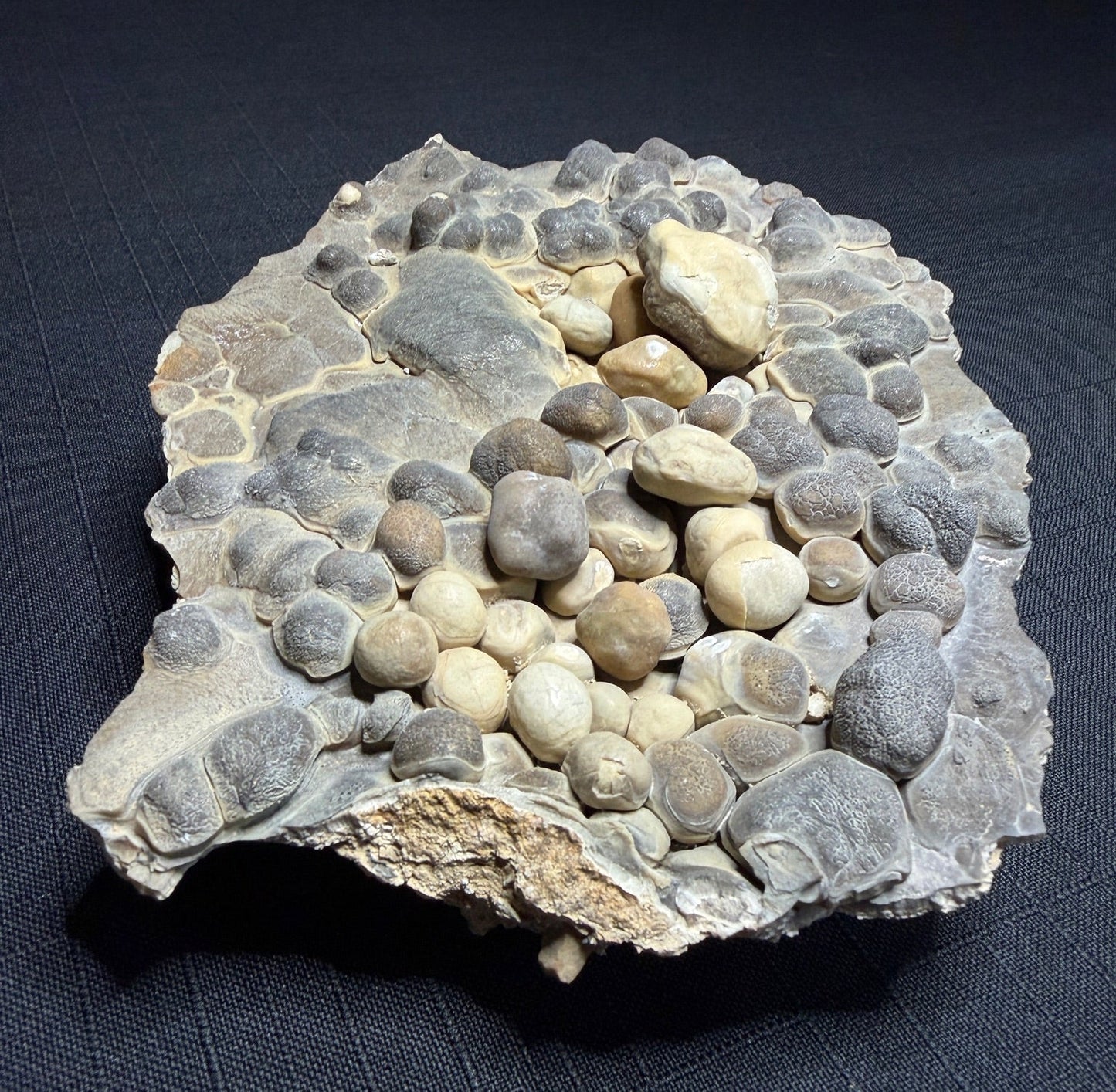 Grey and cream Bird’s Nest aragonite with rounded cave pearls from the Erzberg Mine in Austria