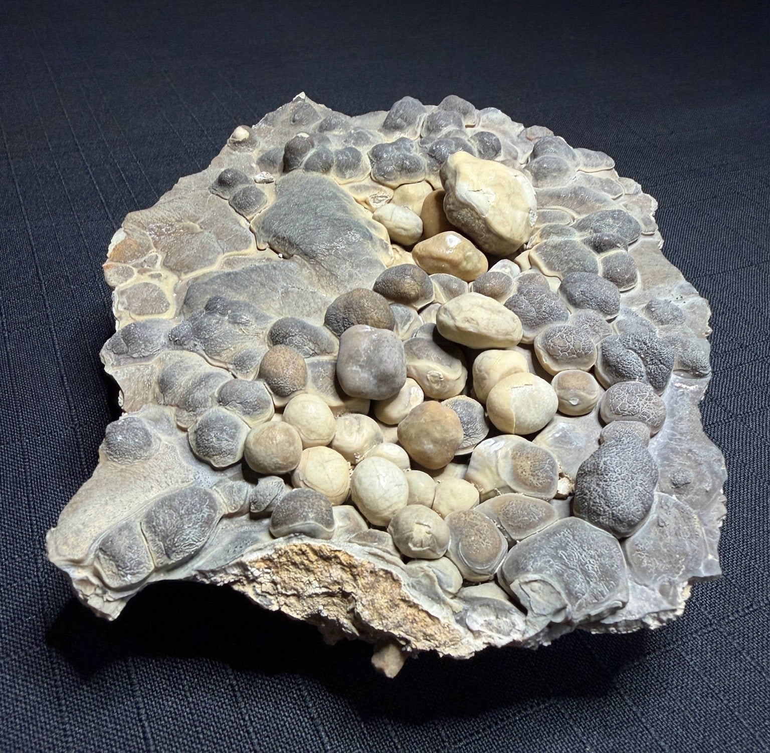 Grey and cream Bird’s Nest aragonite with rounded cave pearls from the Erzberg Mine in Austria