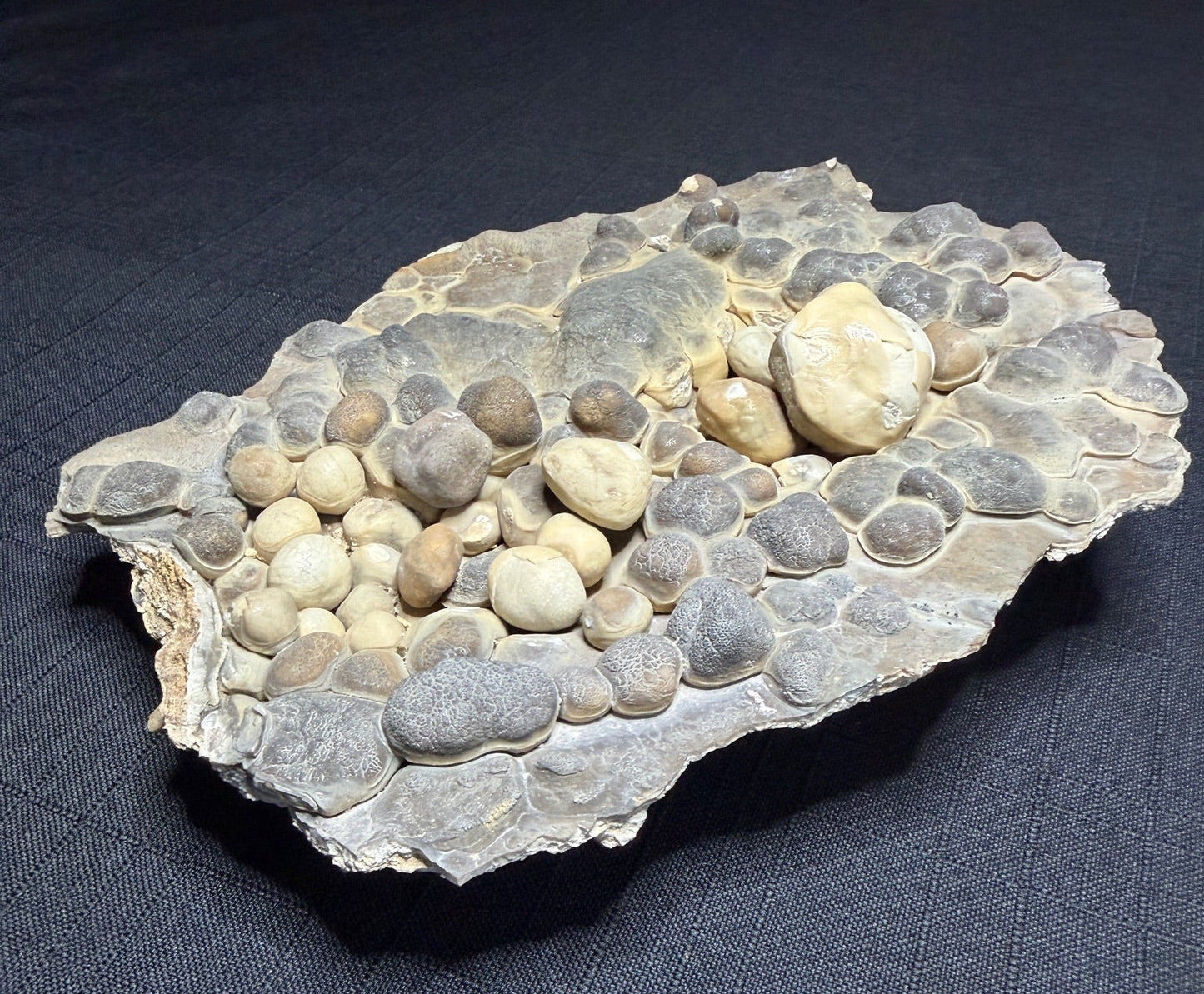 Grey and cream Bird’s Nest aragonite with rounded cave pearls from the Erzberg Mine in Austria