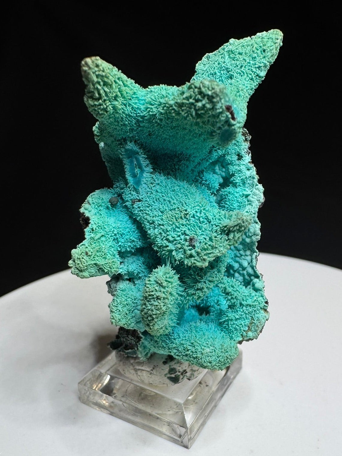 Chrysocolla after Azurite, Lupoto Mine, Kakumba, Haut-Katanga, DR Congo