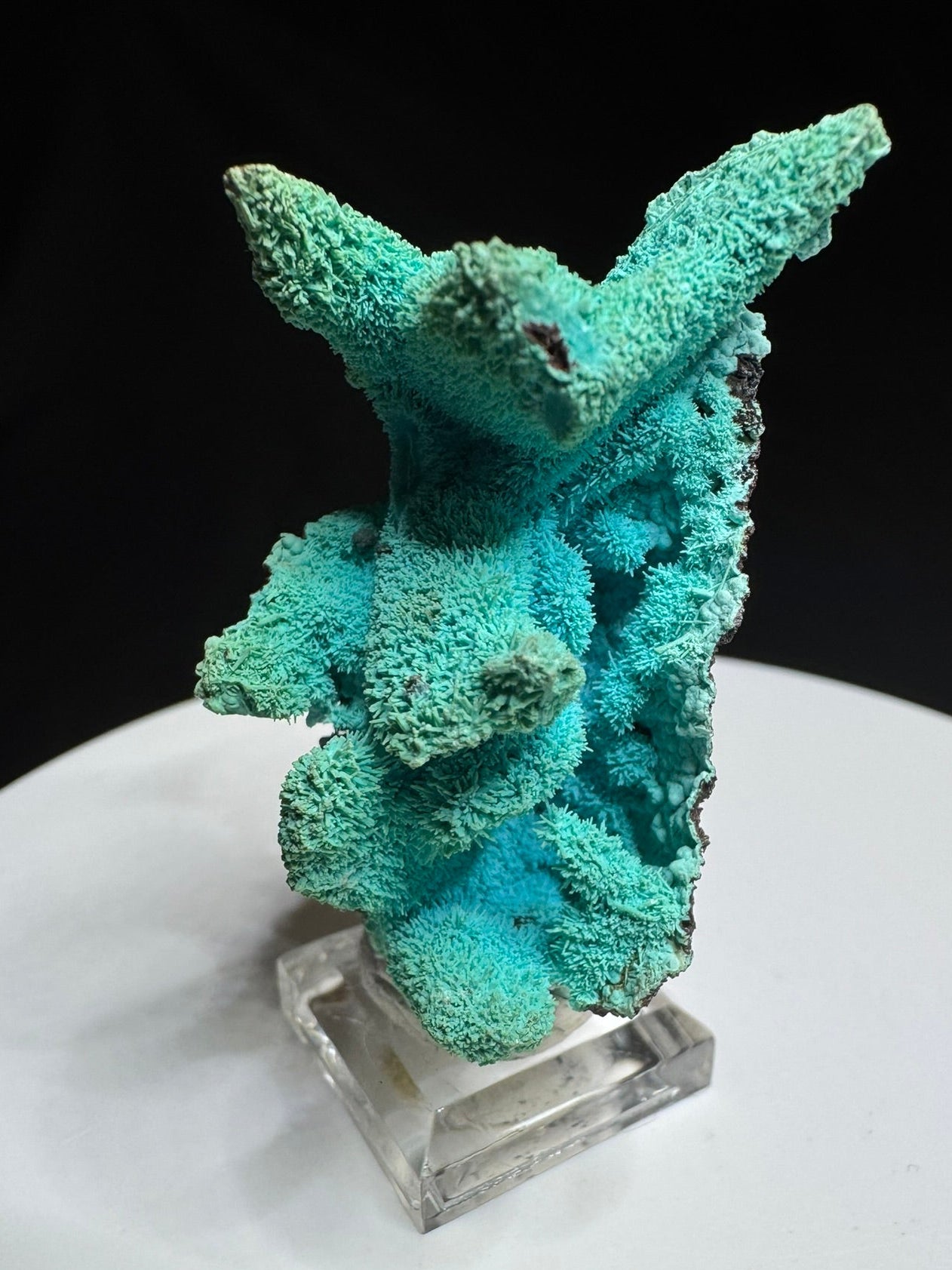 Chrysocolla after Azurite, Lupoto Mine, Kakumba, Haut-Katanga, DR Congo