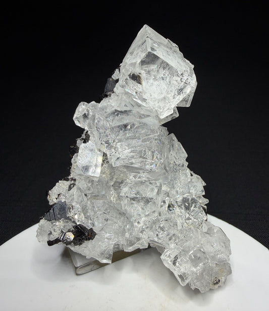 Colourless fluorite crystal cluster on dark matrix from the Nikolaevskiy Mine in Dalnegorsk, Russia