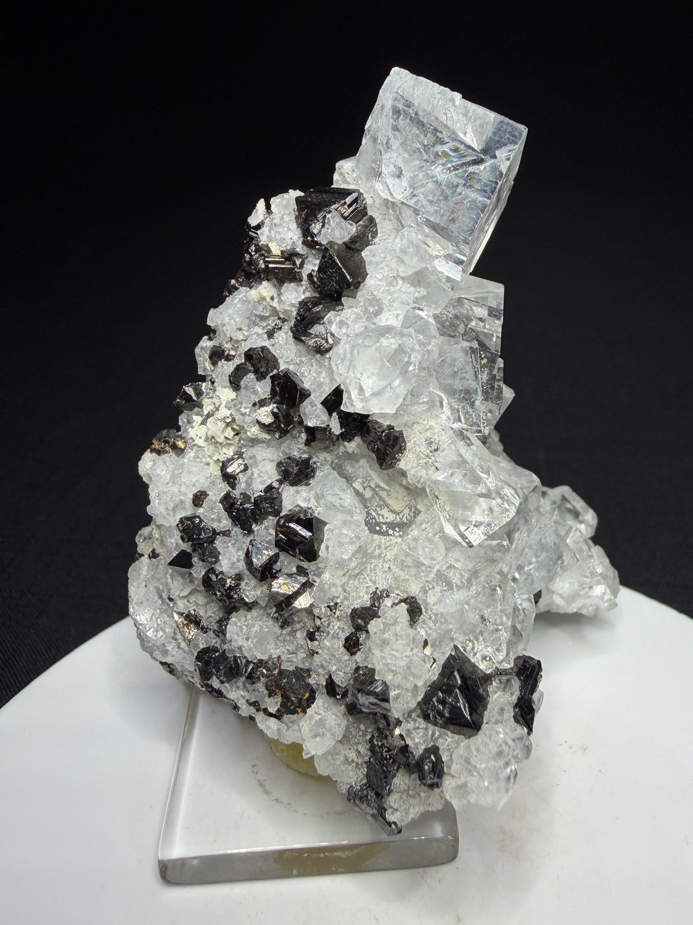 Colourless fluorite crystal cluster on dark matrix from the Nikolaevskiy Mine in Dalnegorsk, Russia