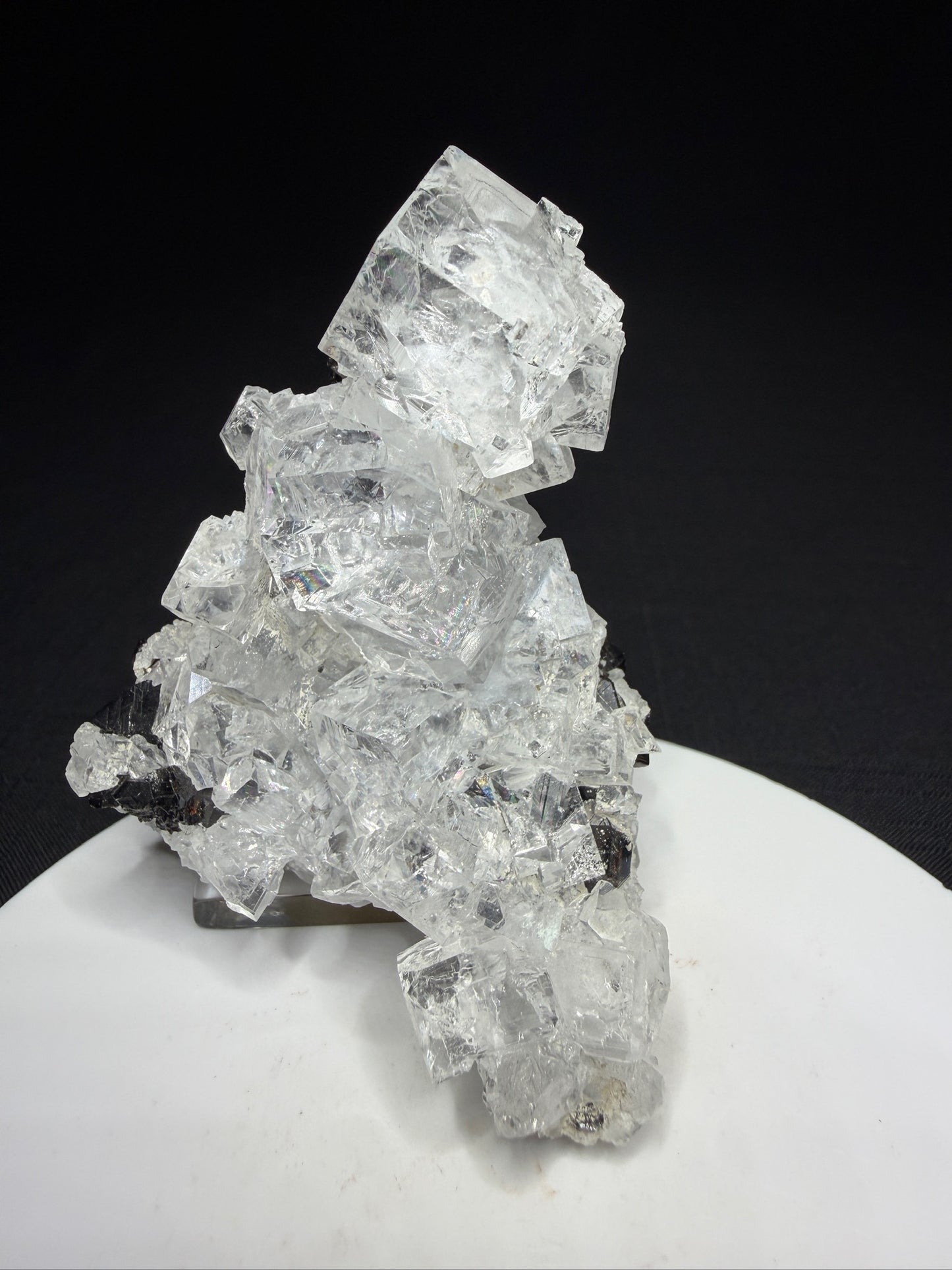 Colourless fluorite crystal cluster on dark matrix from the Nikolaevskiy Mine in Dalnegorsk, Russia