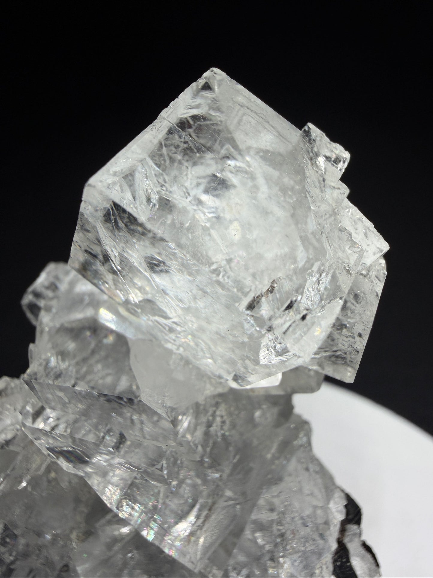 Colourless fluorite crystal cluster on dark matrix from the Nikolaevskiy Mine in Dalnegorsk, Russia