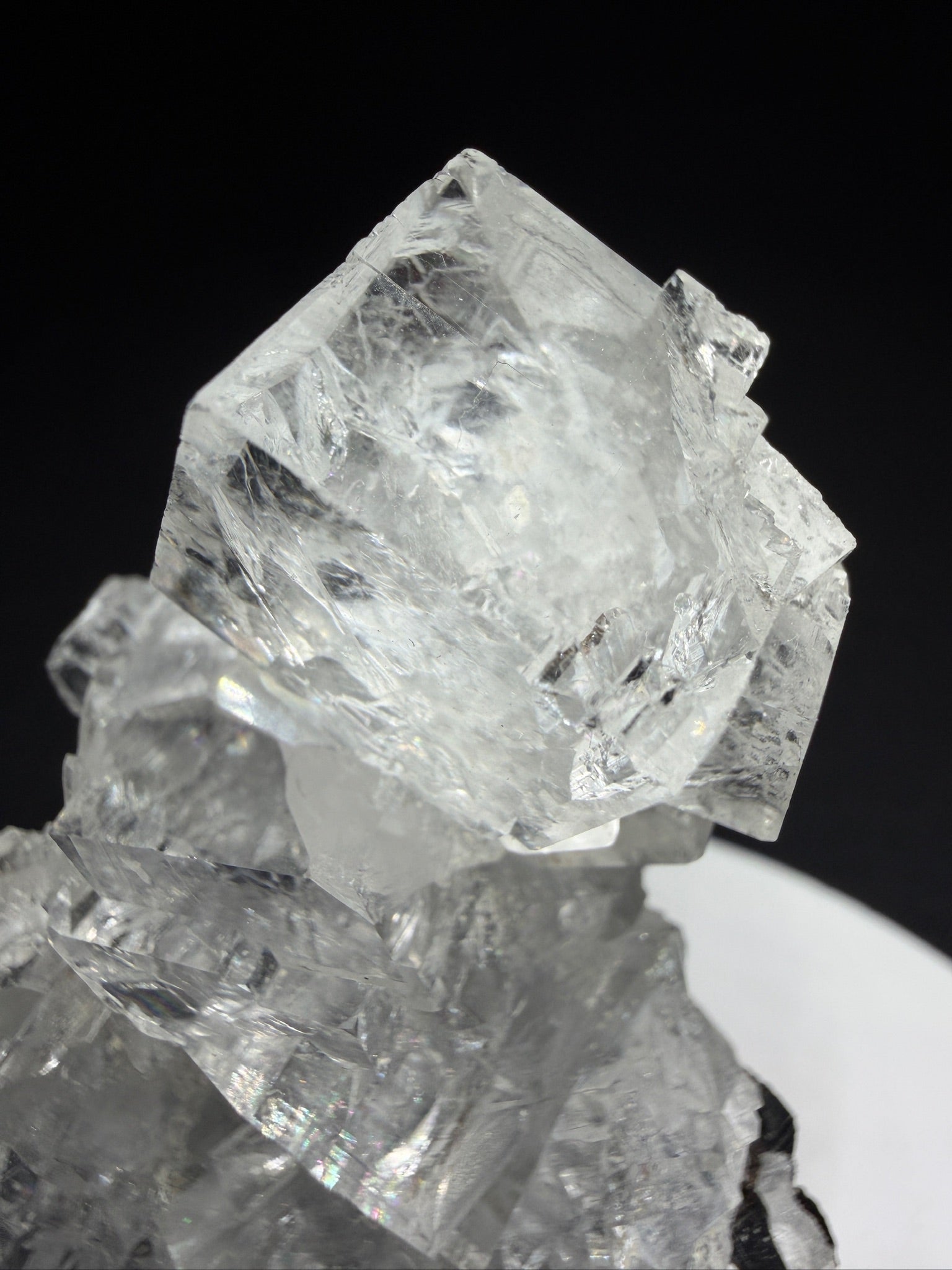 Colourless fluorite crystal cluster on dark matrix from the Nikolaevskiy Mine in Dalnegorsk, Russia