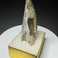 Fossilized dinosaur tooth from the Drumheller area of Alberta, Canada, showing a curved dark-brown crown and visible surface wear