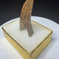 Fossilized dinosaur tooth with a curved brown crown, visible serrations, fractures and areas of surface loss.