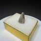 Fossilized dinosaur tooth from Drumheller, Alberta, with a compact curved brown crown and visible edge serrations.
