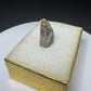 Fossilized dinosaur tooth from Drumheller, Alberta, with a compact curved brown crown and visible edge serrations.