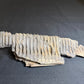 partial hadrosaur jaw HN634