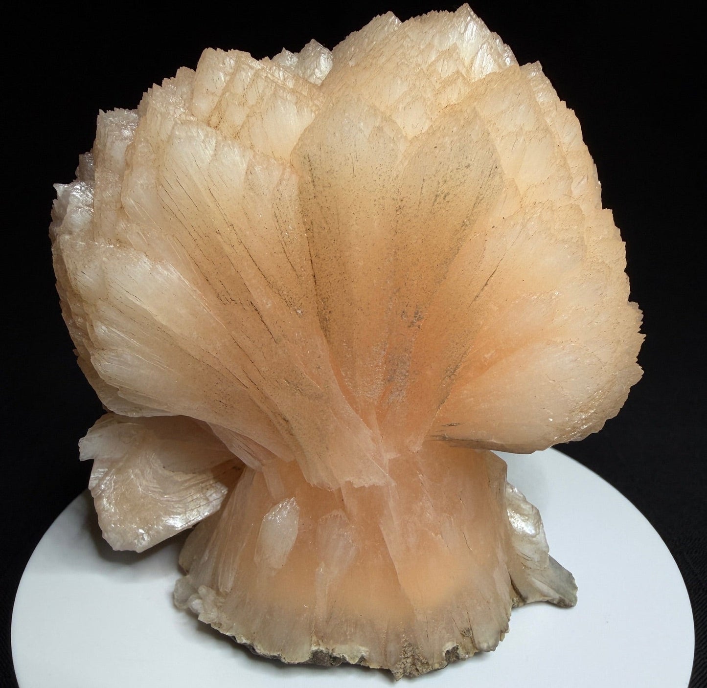 Peach-pink stilbite-Ca crystal cluster from Jalgaon, India