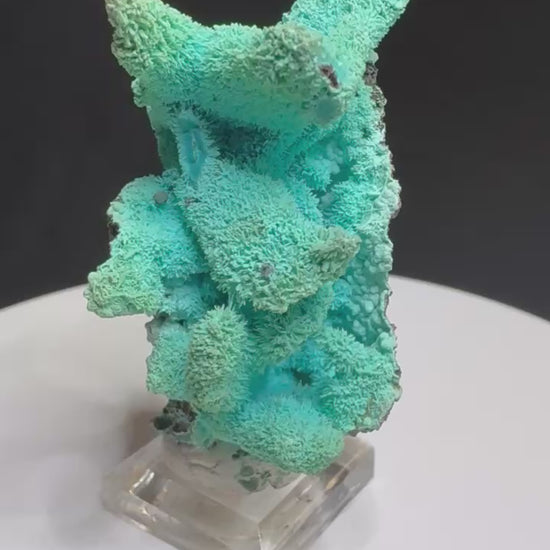Chrysocolla after Azurite, Lupoto Mine, Kakumba, Haut-Katanga, DR Congo