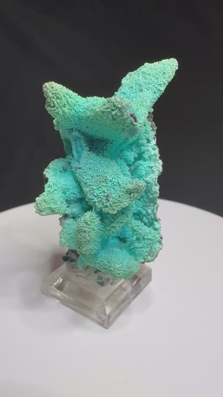 Chrysocolla after Azurite, Lupoto Mine, Kakumba, Haut-Katanga, DR Congo