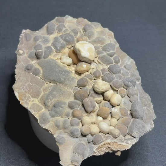 Grey and cream Bird’s Nest aragonite with rounded cave pearls from the Erzberg Mine in Austria